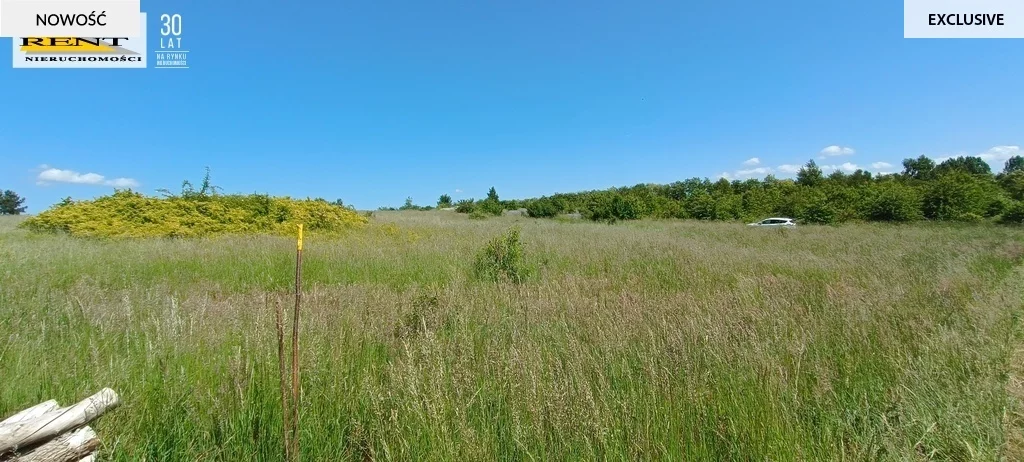Działka 3 648,00 m², oferta nr , 3730/7376/OGS, Płocin