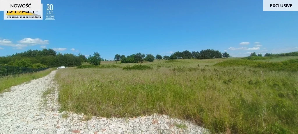 Działka 3 073,00 m², oferta nr , 3731/7376/OGS, Płocin