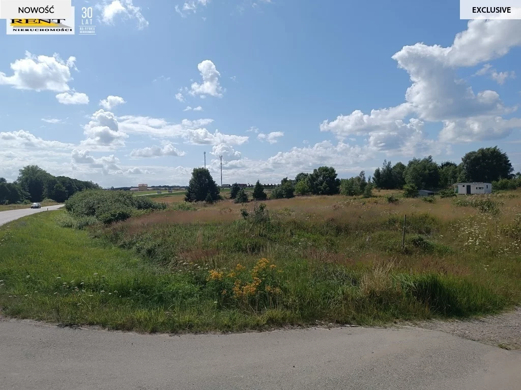 3737/7376/OGS - zdjęcie nr 4