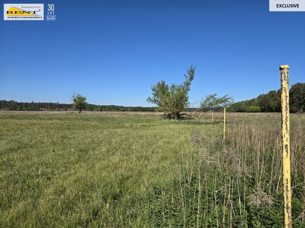 Apartamenty 3721/7376/OGS Szczecin