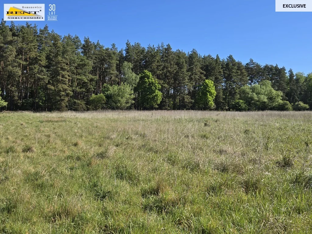 Działka 7 600,00 m², oferta nr , 3721/7376/OGS, Szczecin