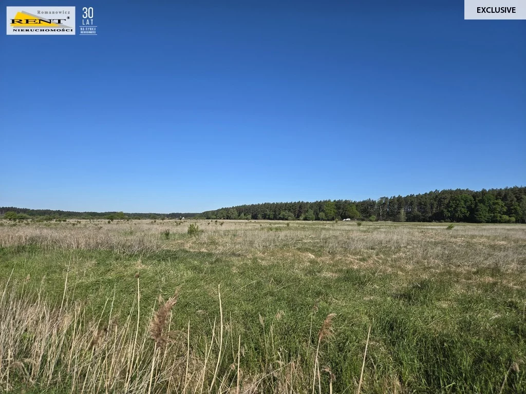 Działka 7 600,00 m², oferta nr , 3721/7376/OGS, Szczecin