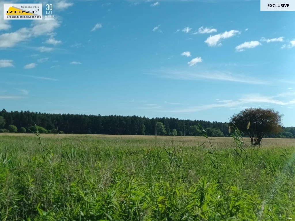 3747/7376/OGS - zdjęcie nr 3
