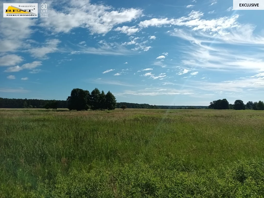 3747/7376/OGS - zdjęcie nr 4
