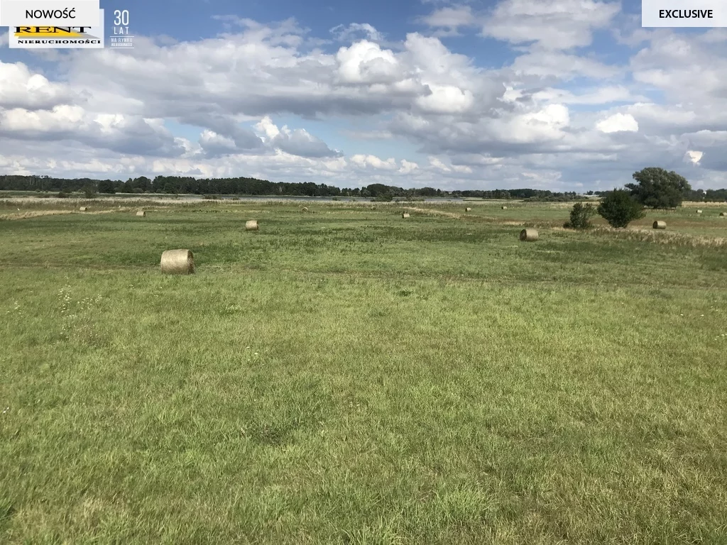 Działka 20 769,00 m², oferta nr , 3598/7376/OGS, Załęże
