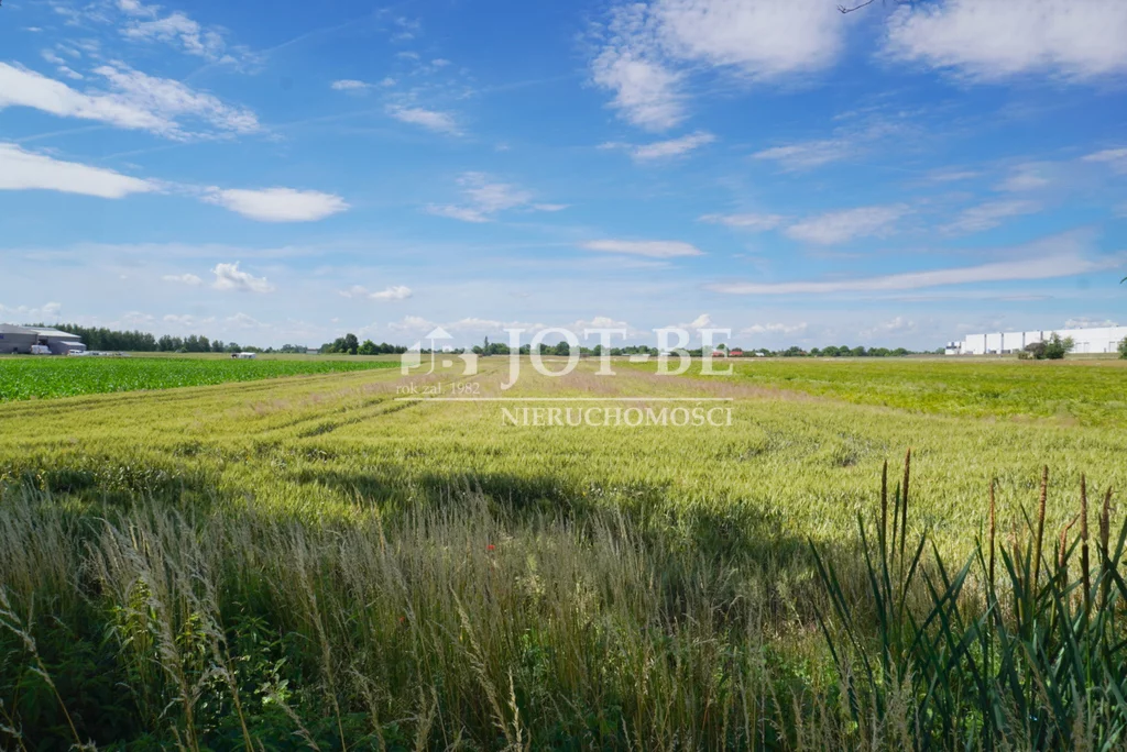 Działka 3 999,00 m², Oleśnica, Bolesława Krzywoustego, Sprzedaż