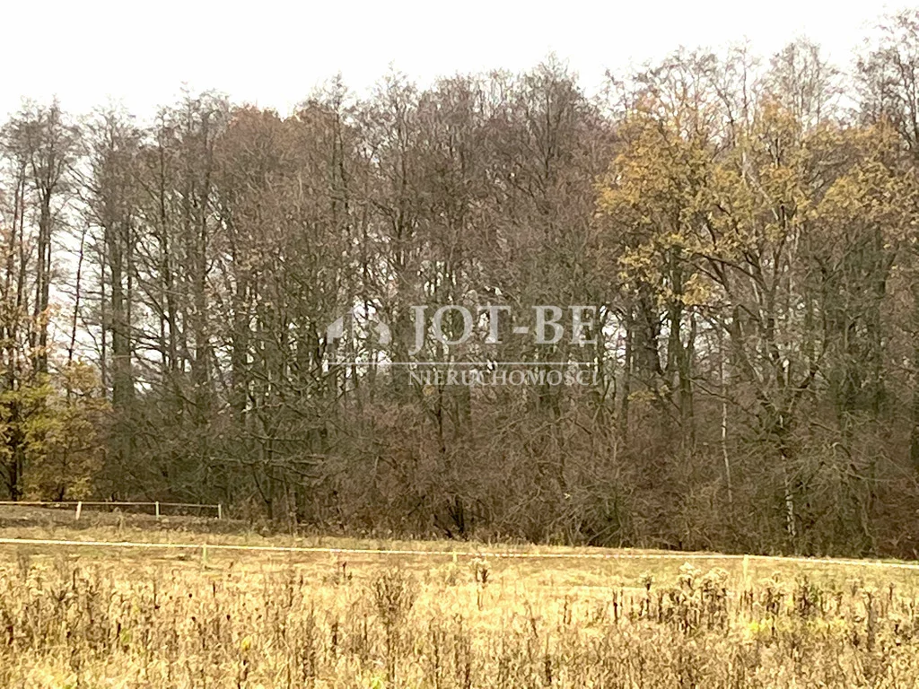 Działka 1 000,00 m², oferta nr , 4374/4112/OGS, Wilkszyn, Jesionowa