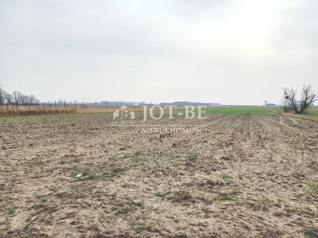 Apartamenty 4516/4112/OGS Krępice Lipowa