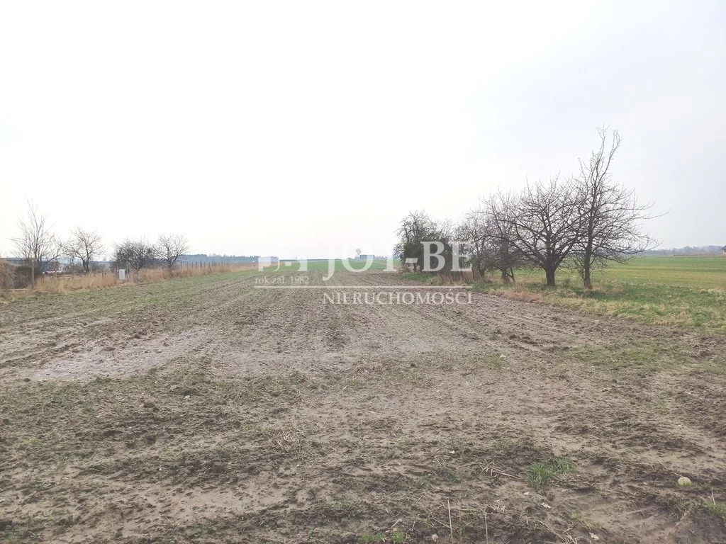 4516/4112/OGS - zdjęcie nr 0