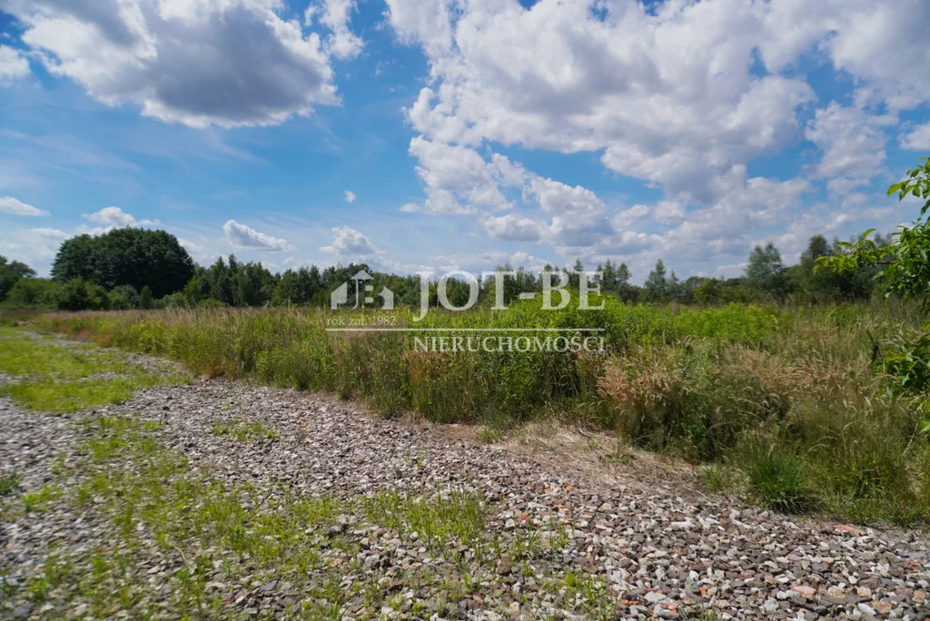 Działka 900,00 m², oferta nr , 4502/4112/OGS, Wilczyce, Złota