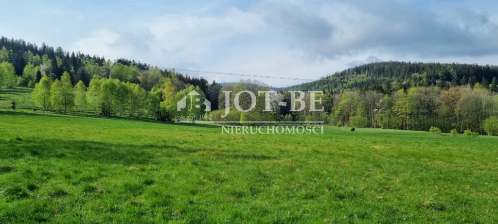 Lokal użytkowy 550,00 m², oferta nr , 162/4112/OOW, Nowy Gierałtów