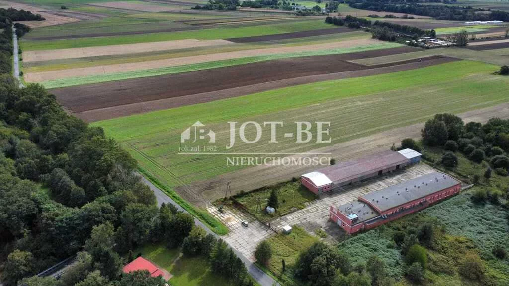 Apartamenty 219/4112/OOS Pawłów
