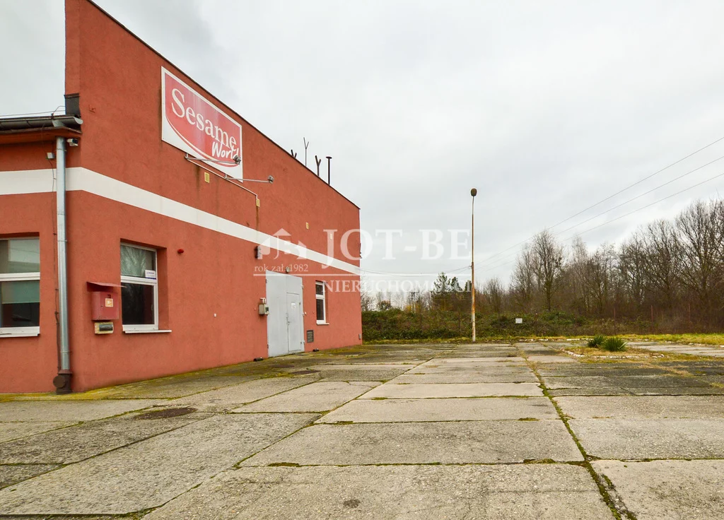 Magazyn 2 253,00 m², oferta nr , 8/4112/OHS, Pawłów