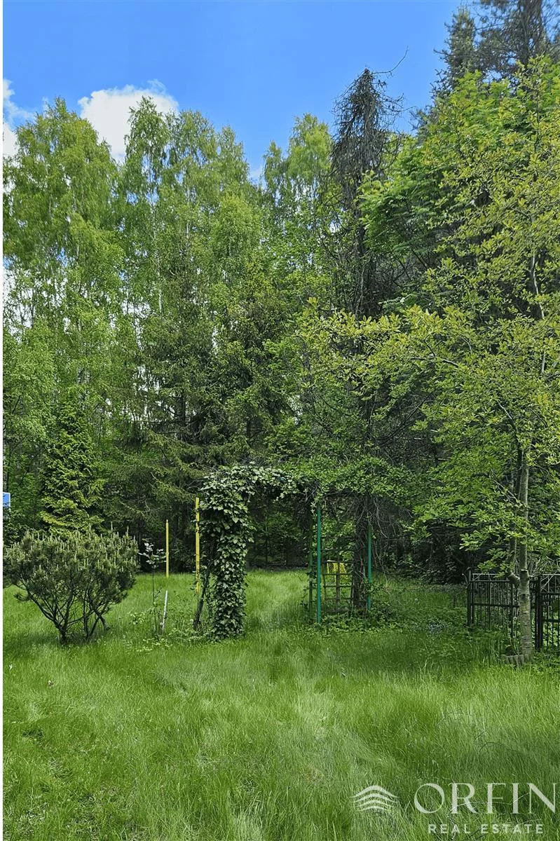 OR017112 - zdjęcie nr 3