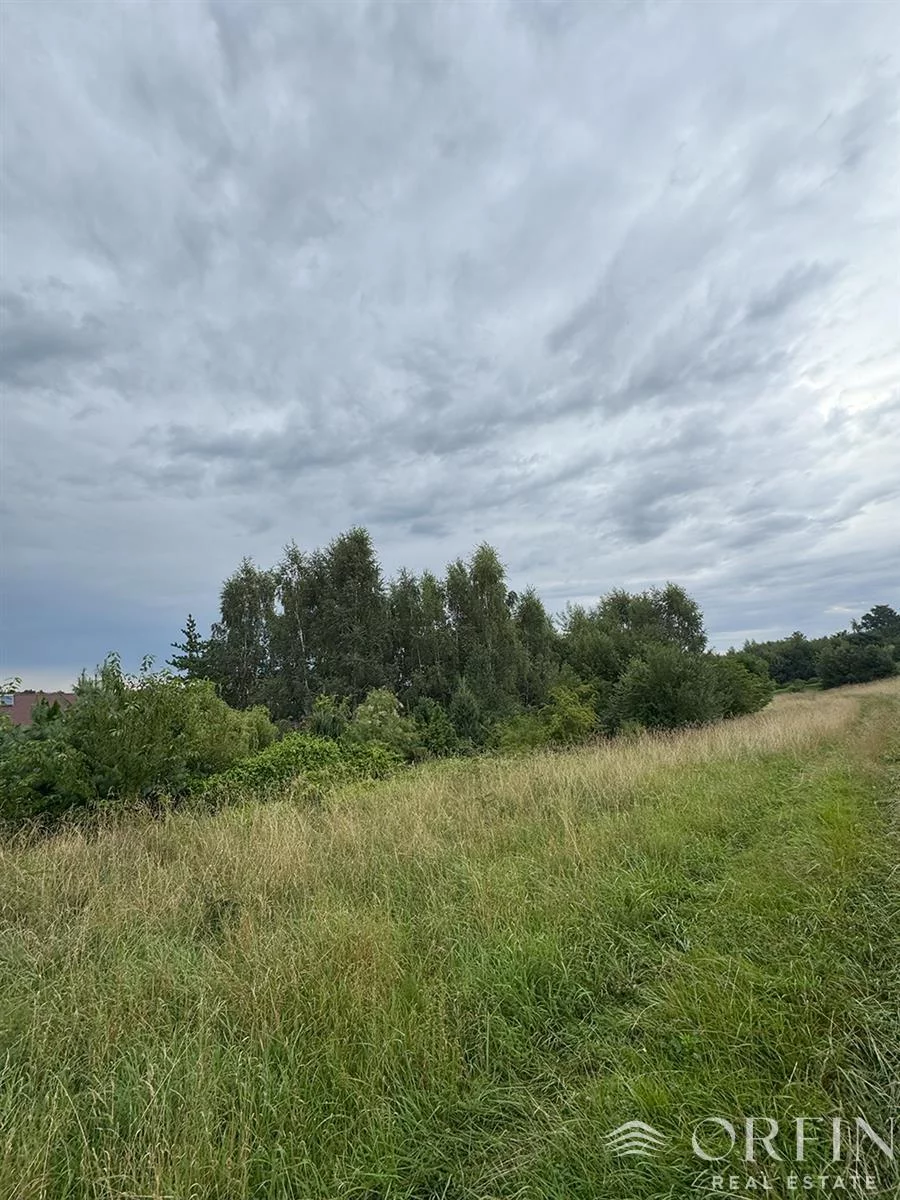 OR017176 - zdjęcie nr 2