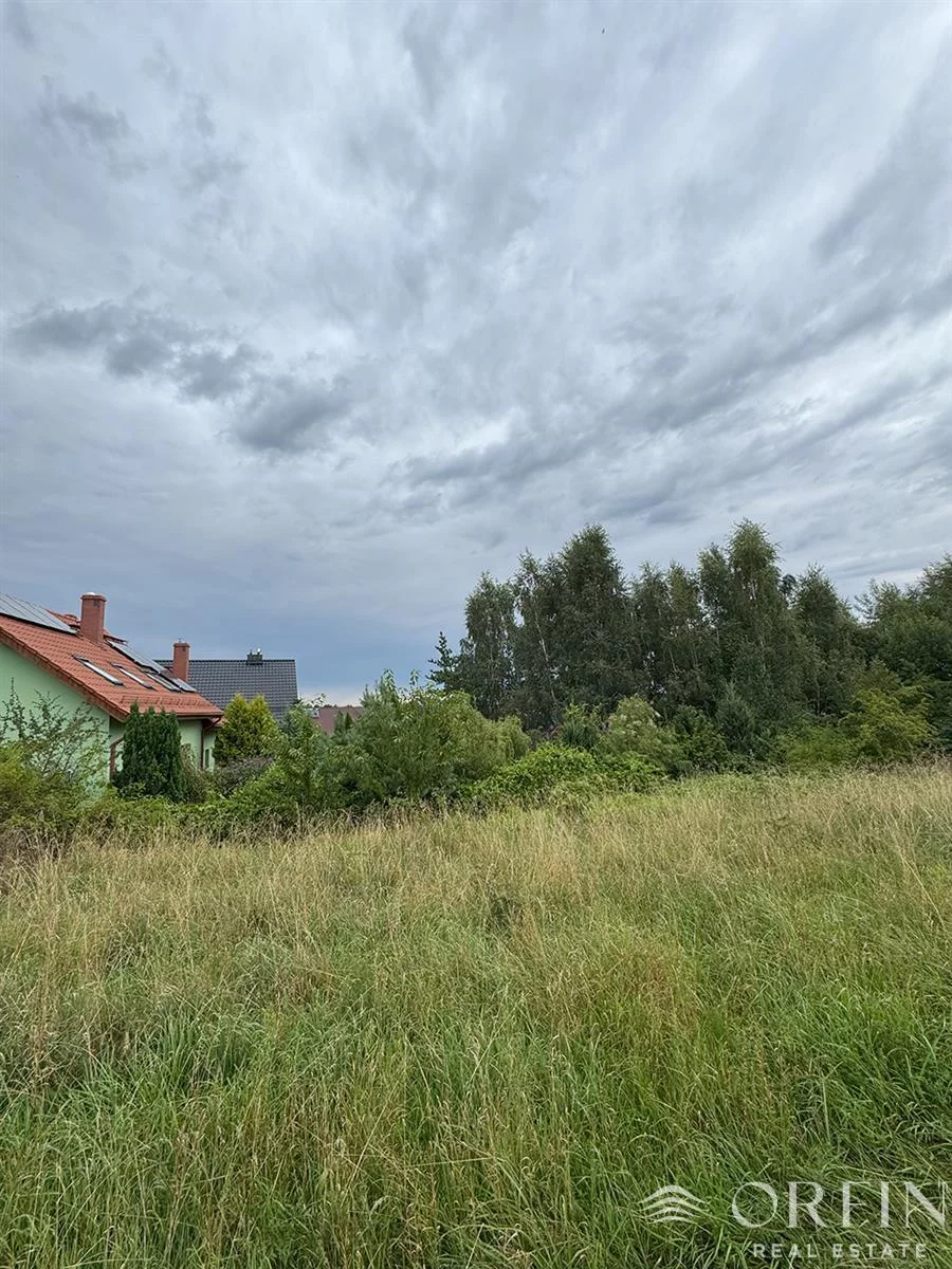 OR017176 - zdjęcie nr 3