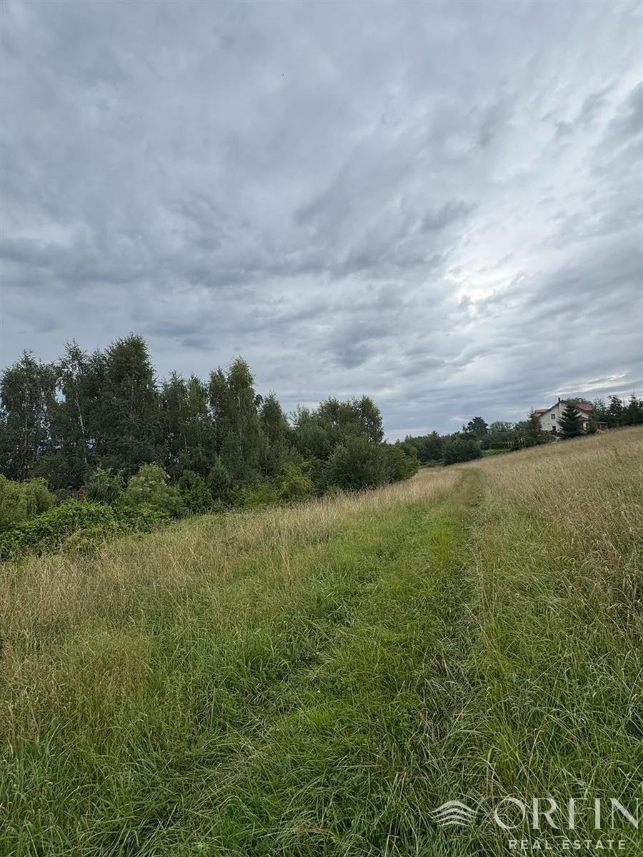 OR017176 - zdjęcie nr 4