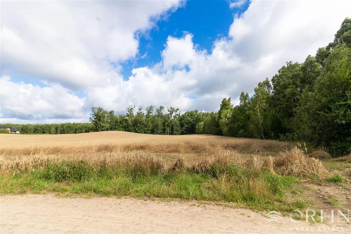 OR017100 - zdjęcie nr 3