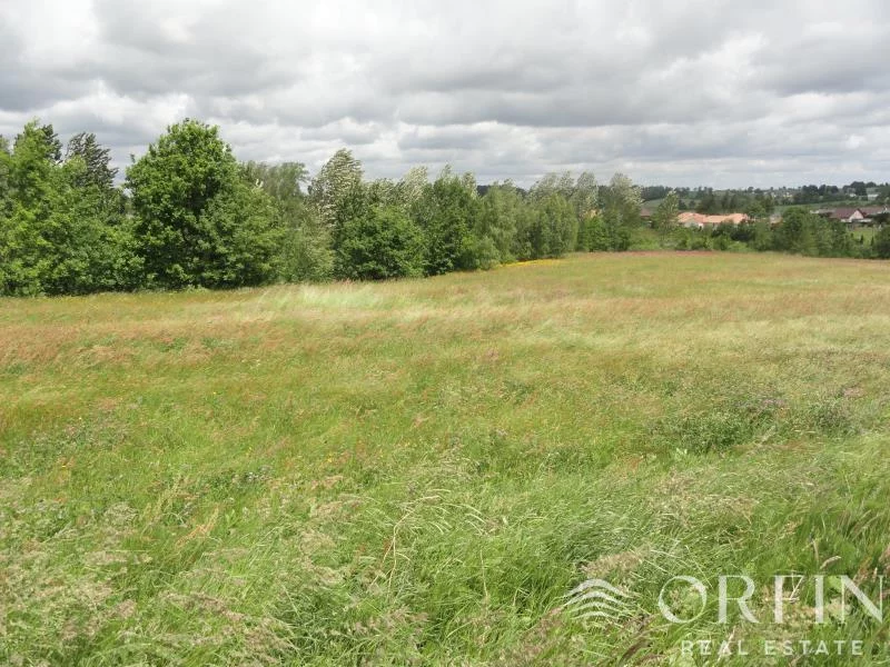 OR017045 - zdjęcie nr 0