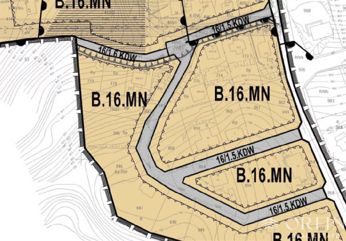 OR017094 - zdjęcie nr 2