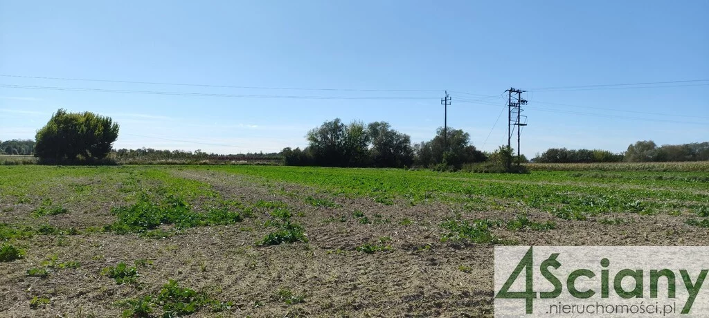 Dom 155,00 m², oferta nr , 7133/3098/ODS, Bieniewo-Parcela