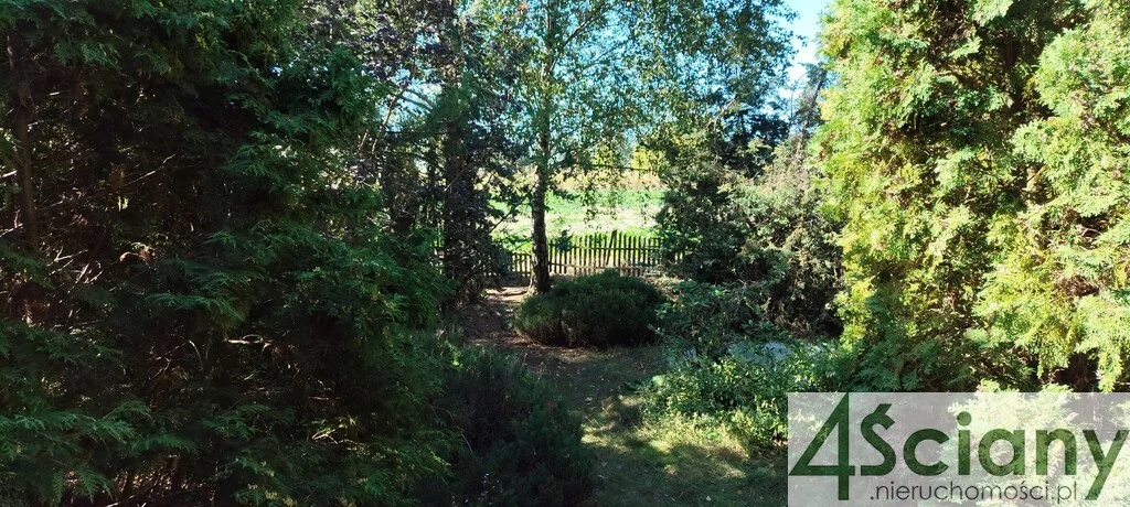 Dom 155,00 m², oferta nr , 7133/3098/ODS, Bieniewo-Parcela