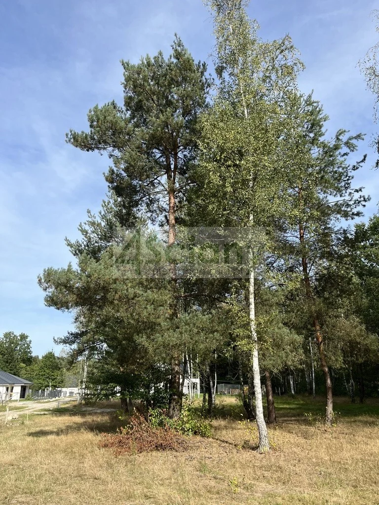 Działka 1 500,00 m², oferta nr , 10218/3098/OGS, Adamowizna