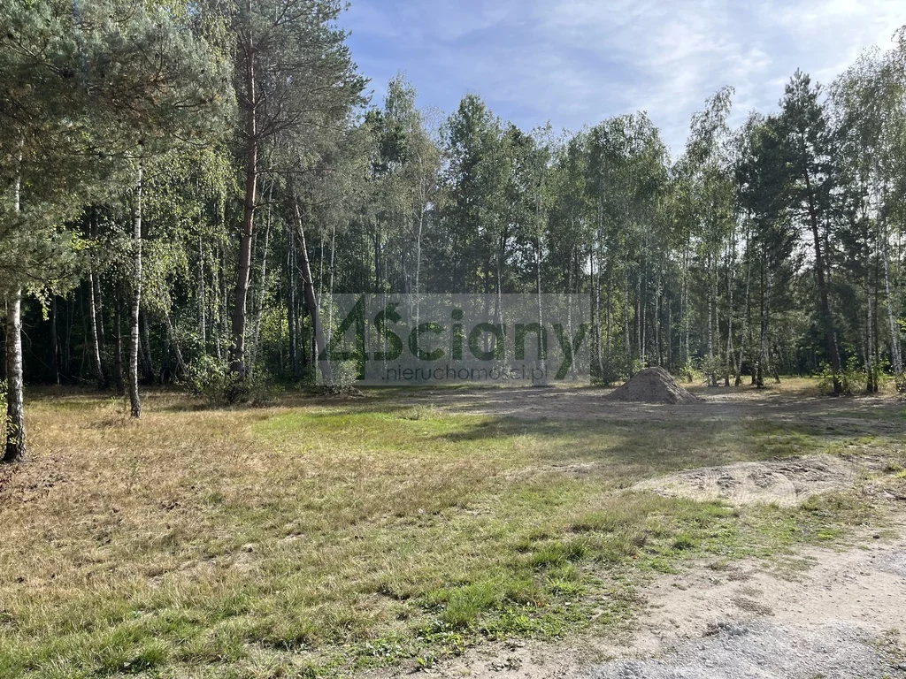 Apartamenty 10219/3098/OGS Adamowizna