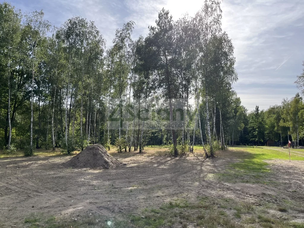 Działka 3 000,00 m², oferta nr , 10219/3098/OGS, Adamowizna