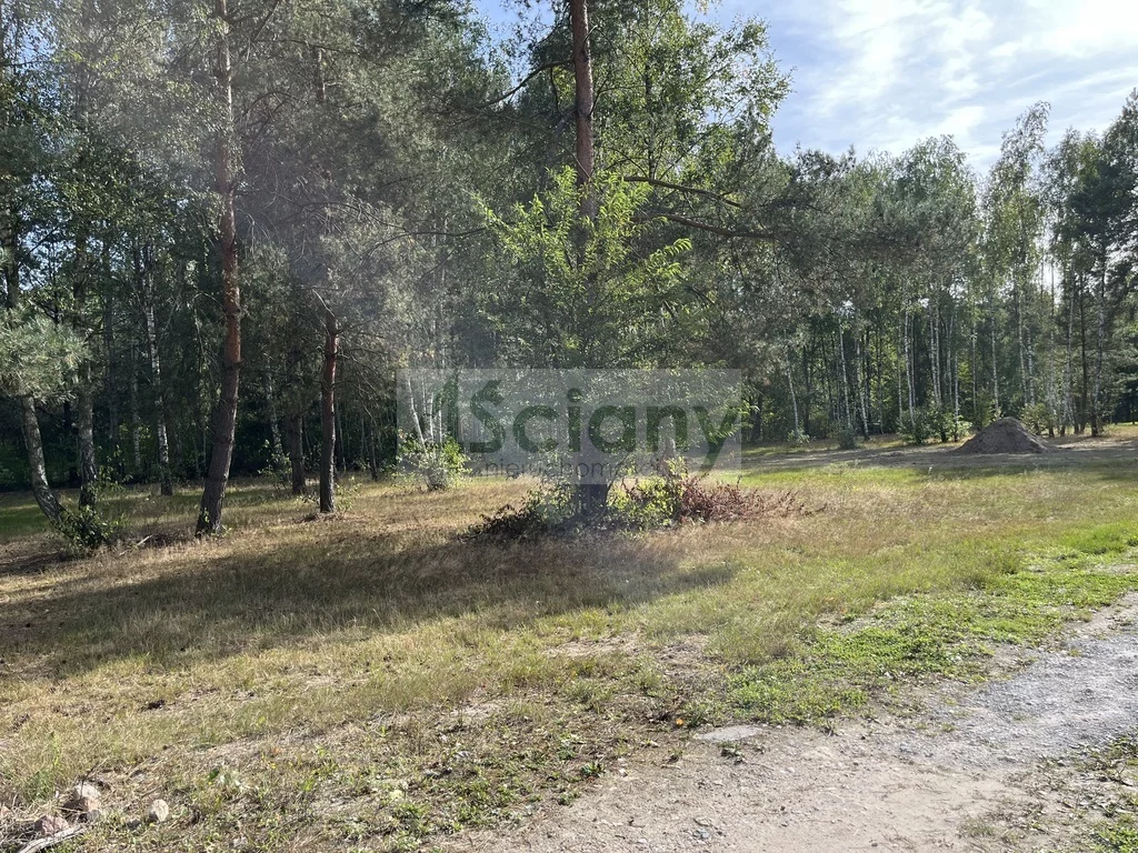 Działka 3 000,00 m², oferta nr , 10219/3098/OGS, Adamowizna