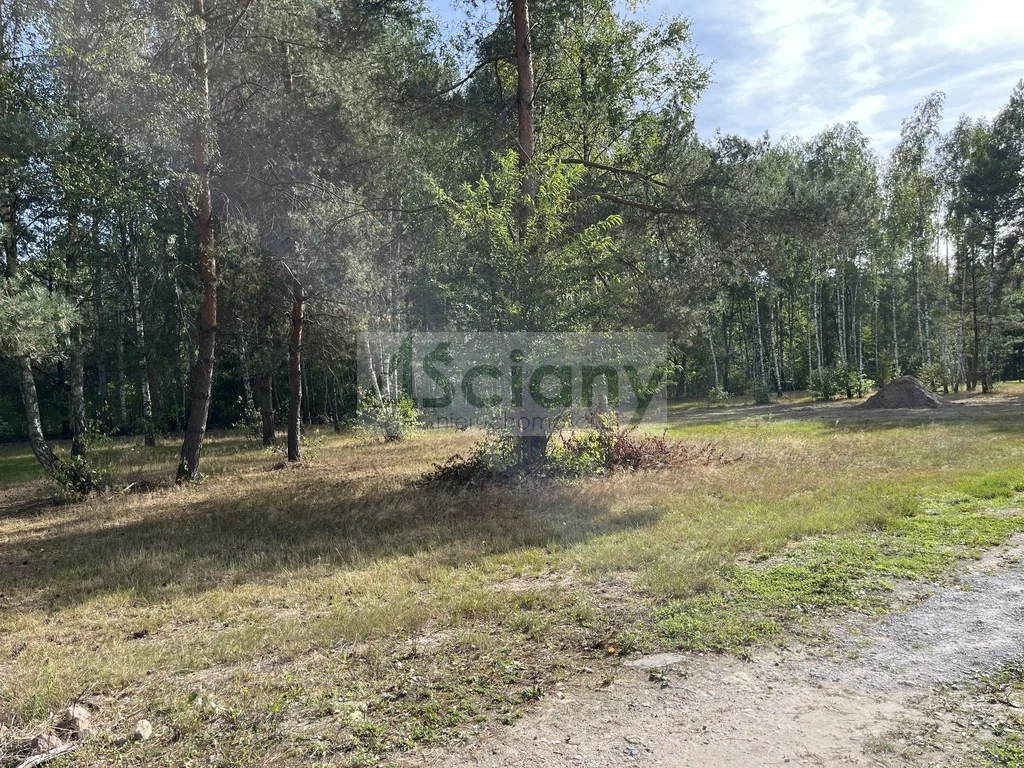 Apartamenty 10217/3098/OGS Adamowizna