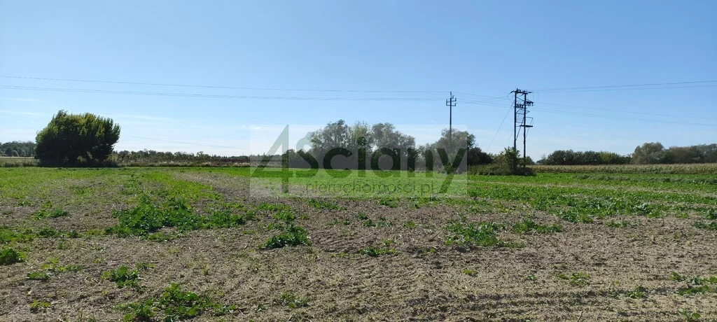Działka 10 938,00 m², oferta nr , 10216/3098/OGS, Bieniewo-Parcela