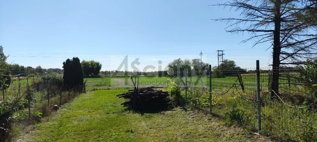 Działka 10 938,00 m², oferta nr , 10216/3098/OGS, Bieniewo-Parcela