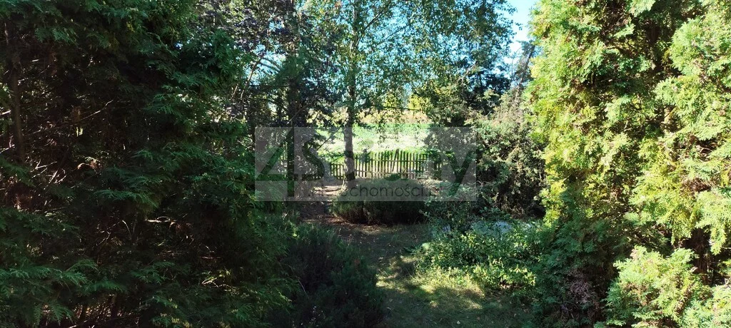 Działka 10 938,00 m², oferta nr , 10216/3098/OGS, Bieniewo-Parcela