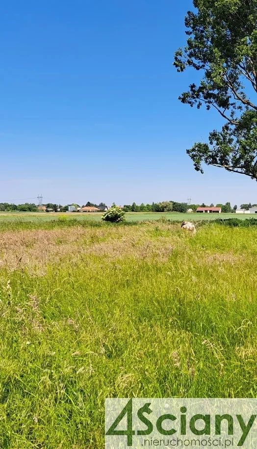 Apartamenty 9938/3098/OGS Błonie