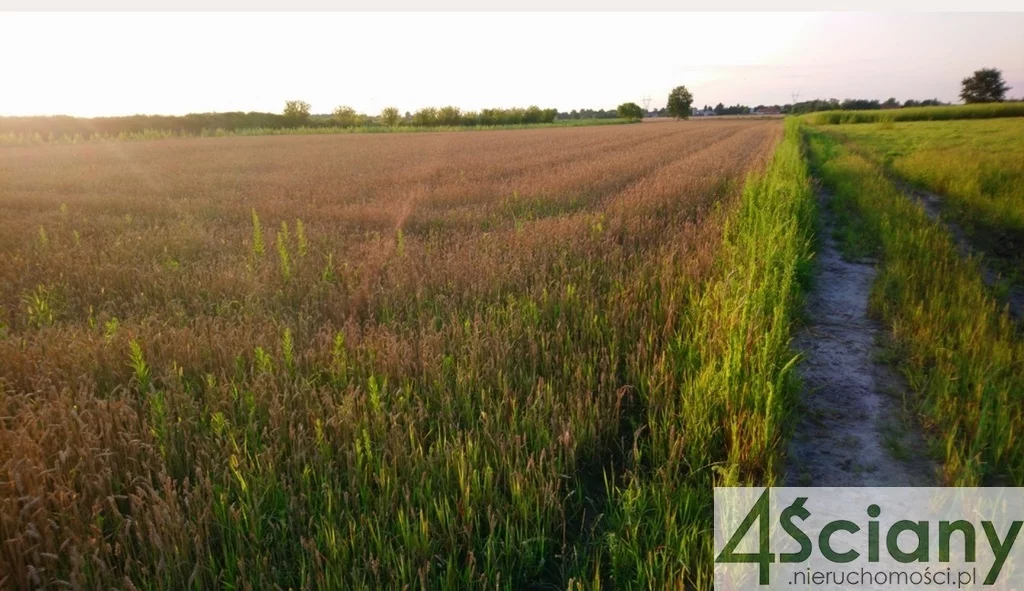 Apartamenty 10042/3098/OGS Błonie