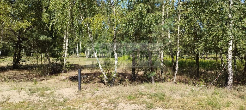 Apartamenty 10267/3098/OGS Błonie