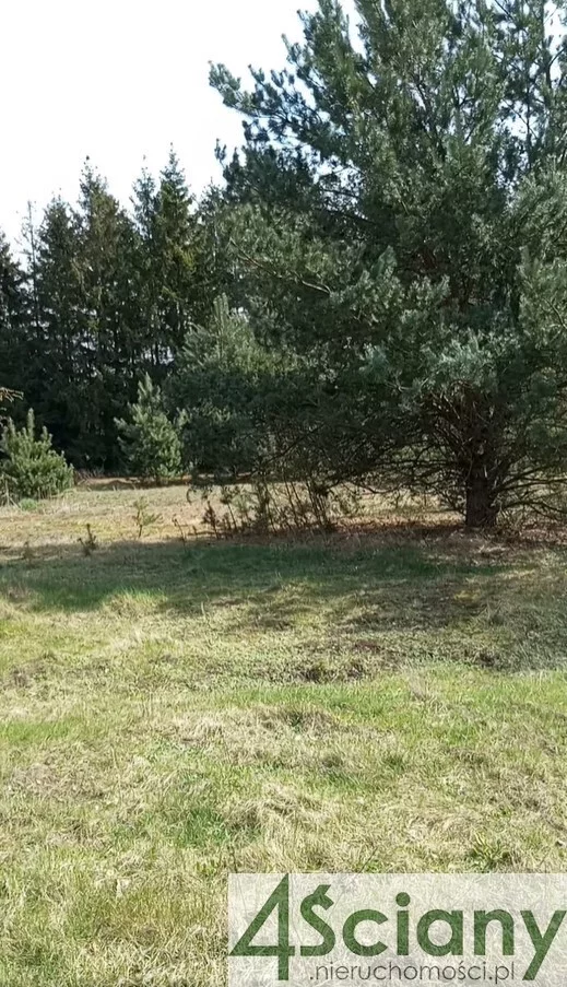 Działka 8 954,00 m², oferta nr , 10191/3098/OGS, Brok