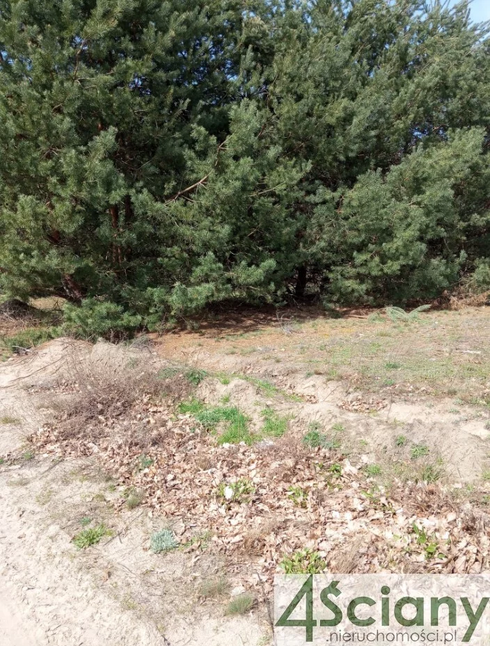 Działka 8 954,00 m², oferta nr , 10191/3098/OGS, Brok