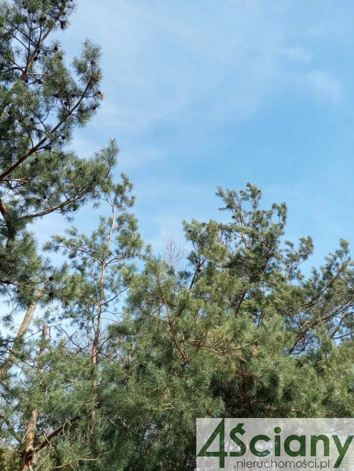 Działka 8 954,00 m², oferta nr , 10191/3098/OGS, Brok