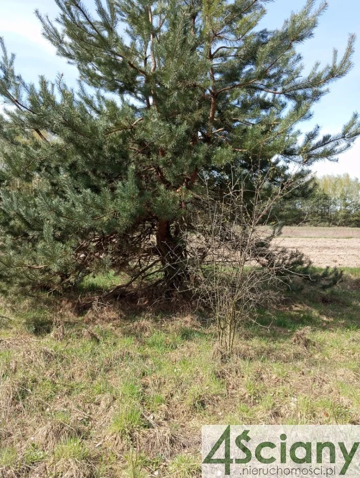 Działka 2 771,00 m², oferta nr , 10192/3098/OGS, Brok
