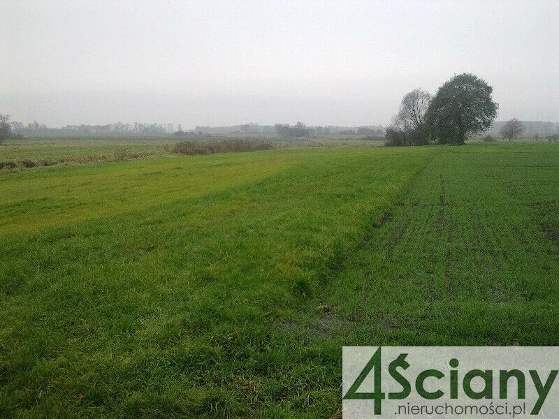 Działka 7 855,00 m², oferta nr , 7567/3098/OGS, Cholewy