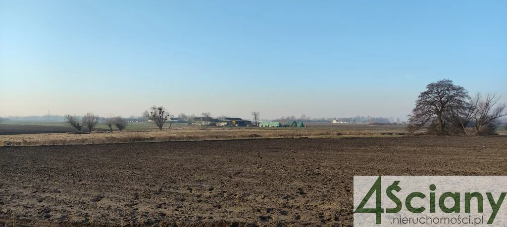 Działka 7 855,00 m², oferta nr , 7567/3098/OGS, Cholewy