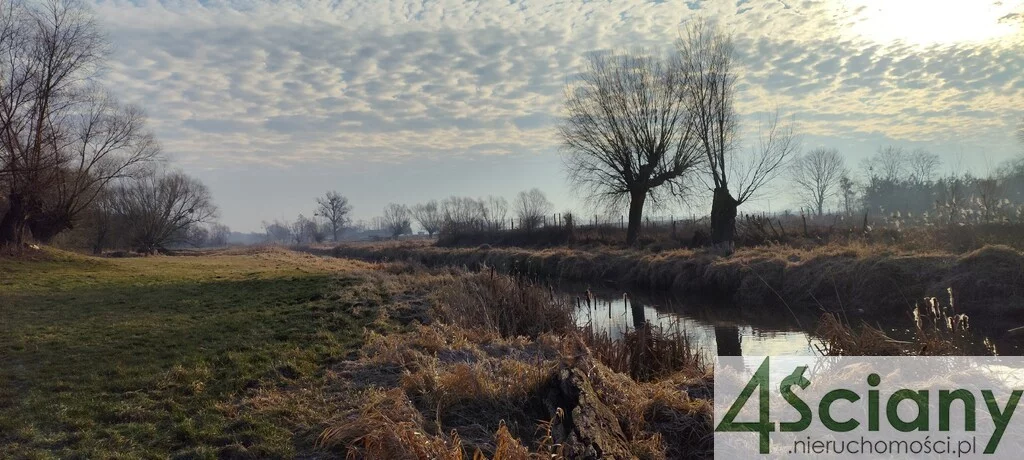 Działka 7 855,00 m², oferta nr , 7567/3098/OGS, Cholewy