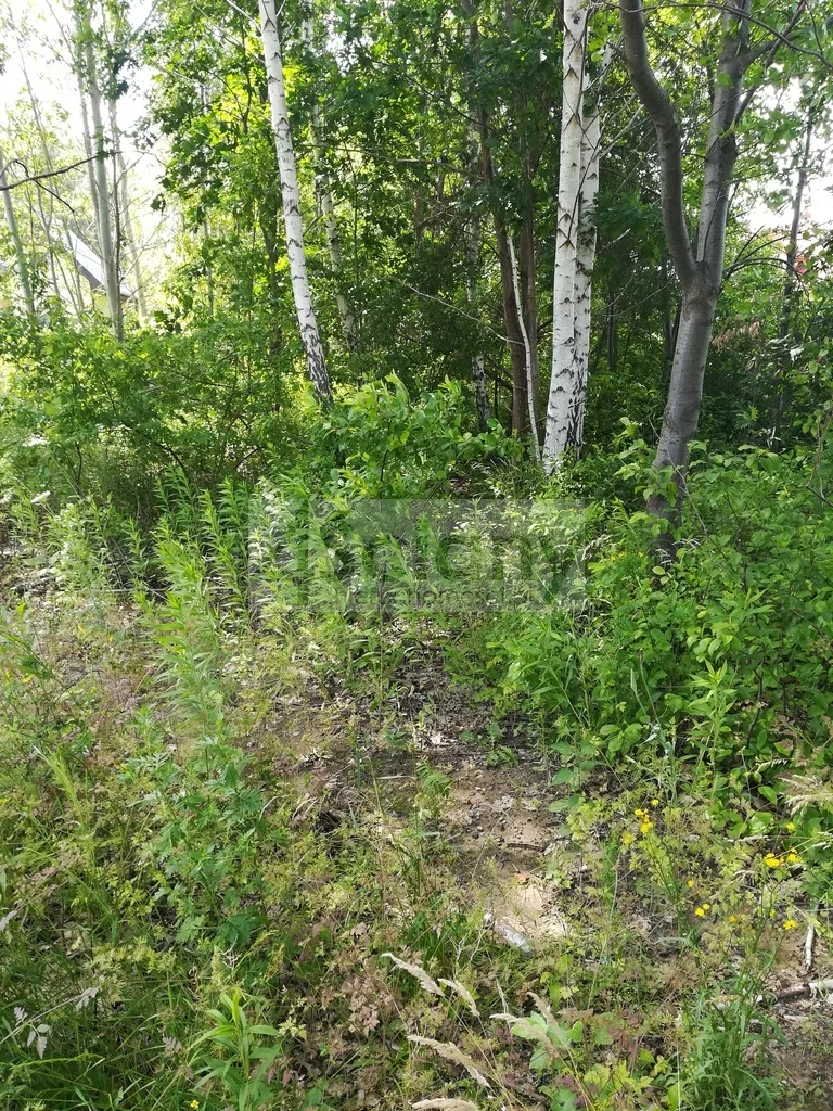 Działka 1 347,00 m², oferta nr , 6383/3098/OGS, Chotomów