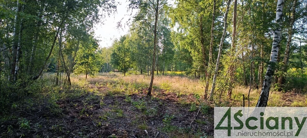 Działka 1 500,00 m², oferta nr , 8890/3098/OGS, Czarny Las