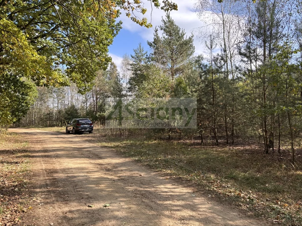 Apartamenty 10261/3098/OGS Dębina
