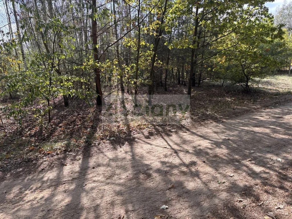 10261/3098/OGS - zdjęcie nr 4