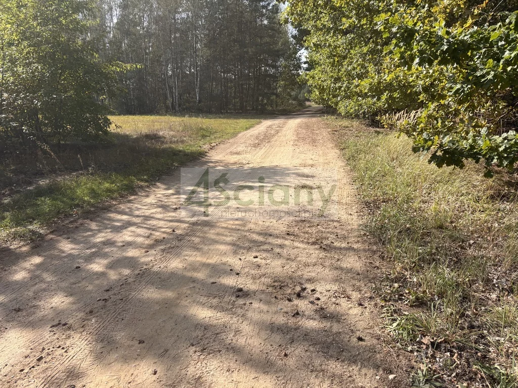 10261/3098/OGS - zdjęcie nr 5