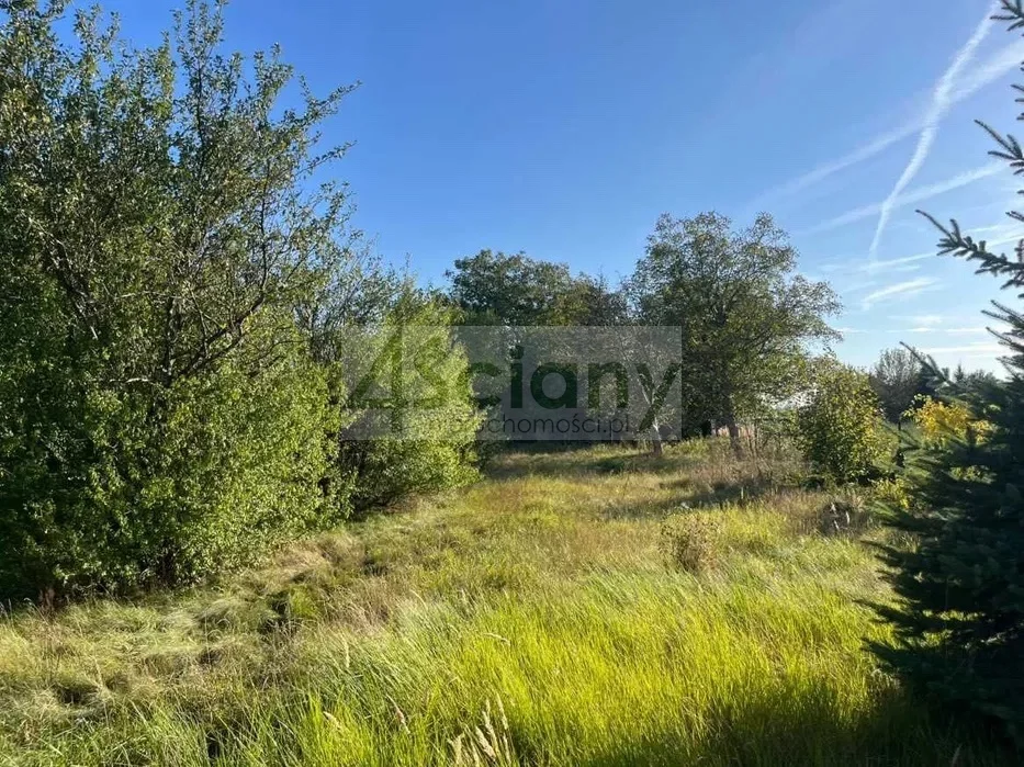Działka 1 243,00 m², oferta nr , 10250/3098/OGS, Domaniewek Pierwszy